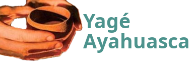 Yagé Ayahuasca